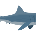 APP下载高带宽无限金币版-APP下载高带宽最新手机版APP下载安装IOS/安卓官方入口
